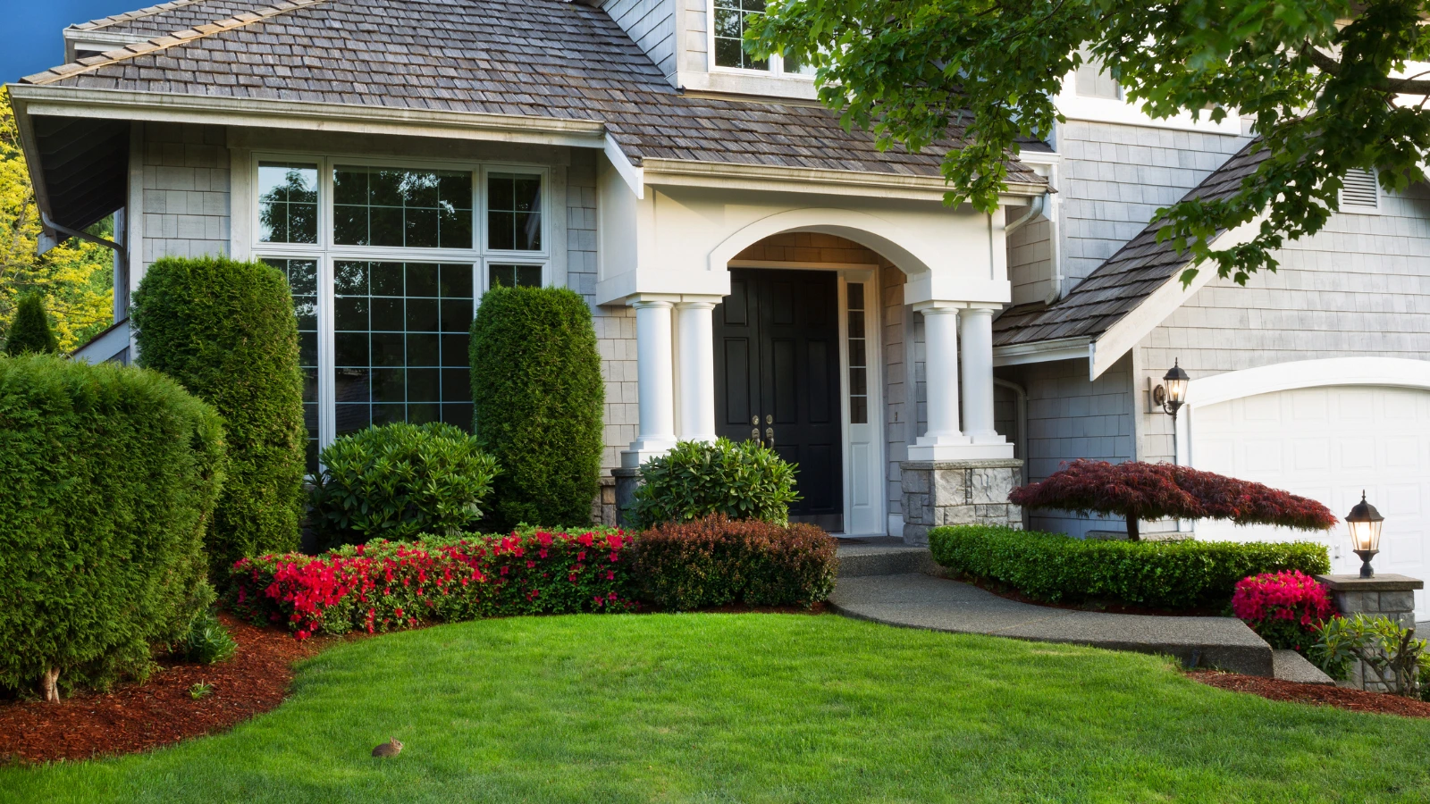 Beautiful front yard landscaping in Austin featuring manicured hedges, vibrant flowers, and a curved pathway leading to the front door.