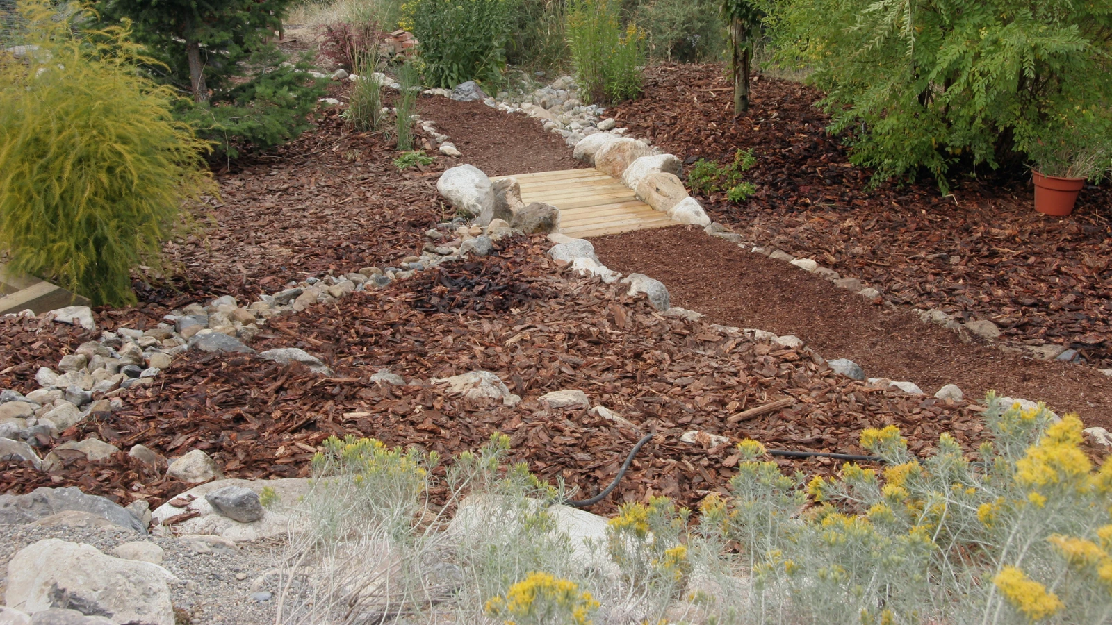 Eco-friendly xeriscape landscaping in Austin featuring mulch, native plants, natural pathways, and drought-tolerant designs.
