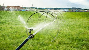Field sprinkler irrigation system repair in progress.