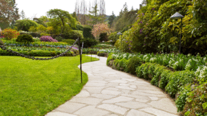 Stone pathway in South Austin garden surrounded by native drought-tolerant plants
