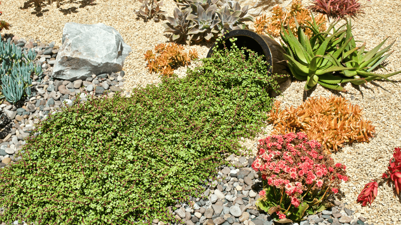 Stone retaining wall with raised flower bed and natural stone steps in a colorful landscaped garden.